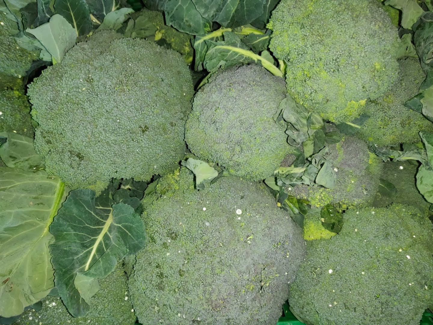 Azienda Agricola S.C di Scarpellini Cesarino - Frutta verdura e cucina, Santarcangelo di Romagna