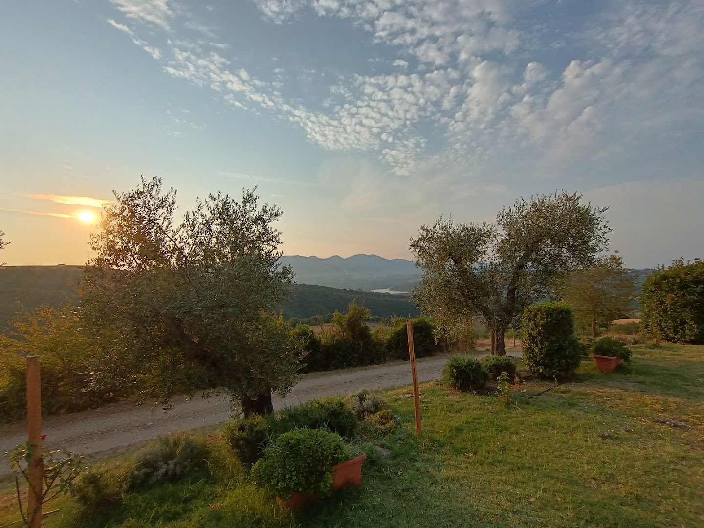 Azienda Agricola Tenuta di Corbara