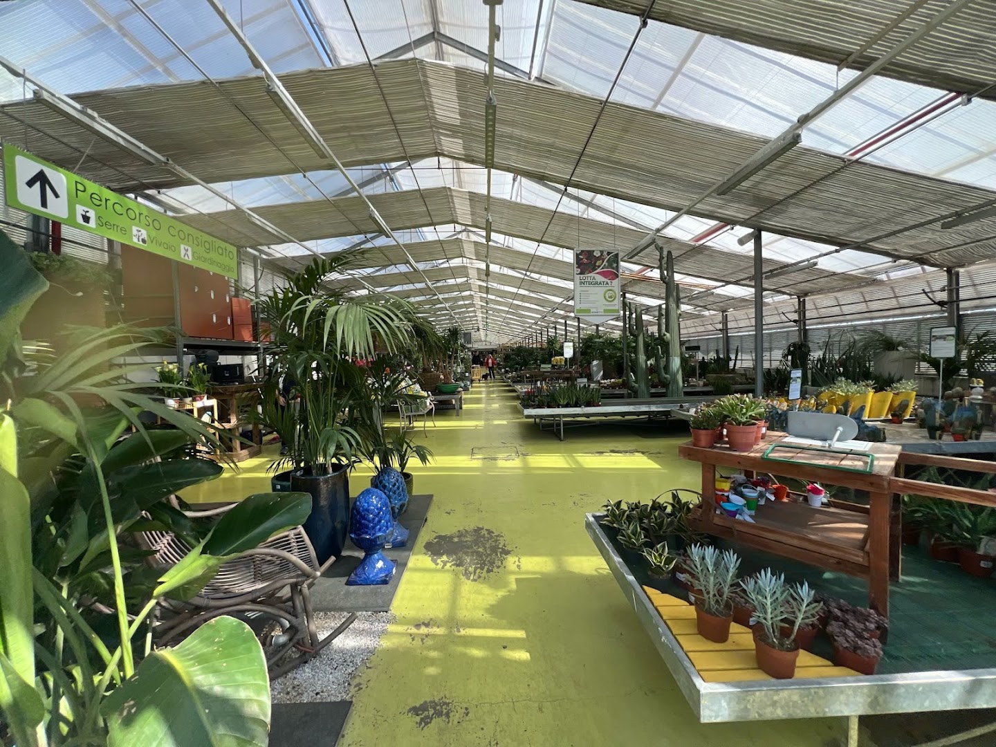 Azienda Floricola Donetti di Stefano Donetti