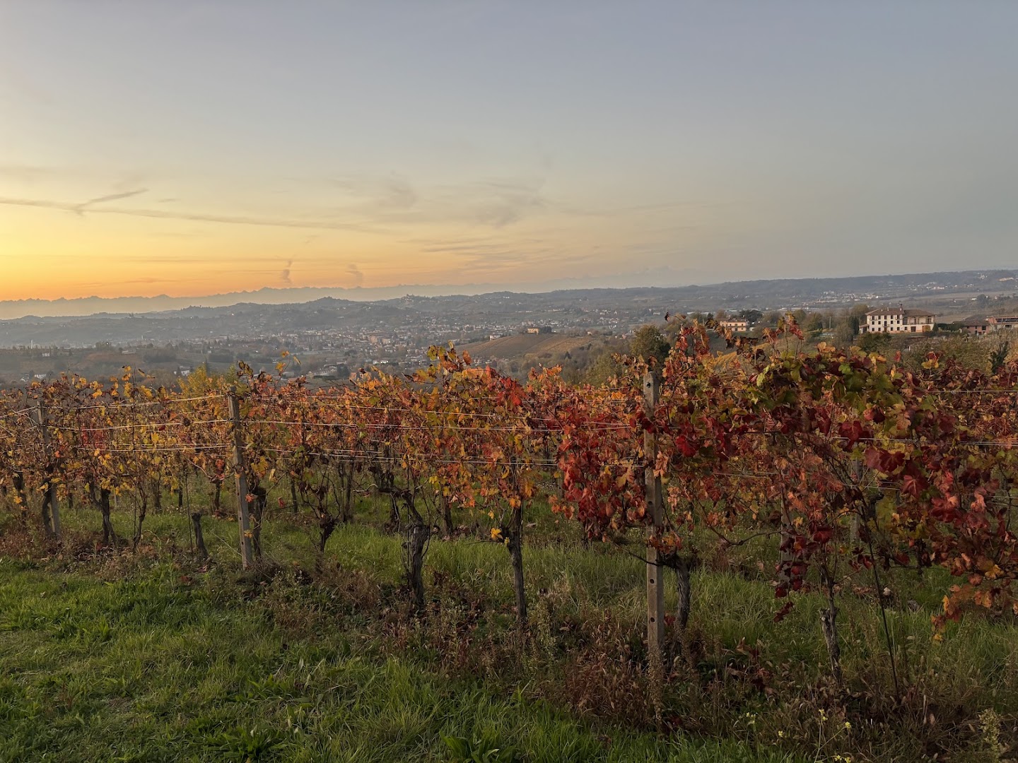 Azienda Vitivinicola Berta Paolo