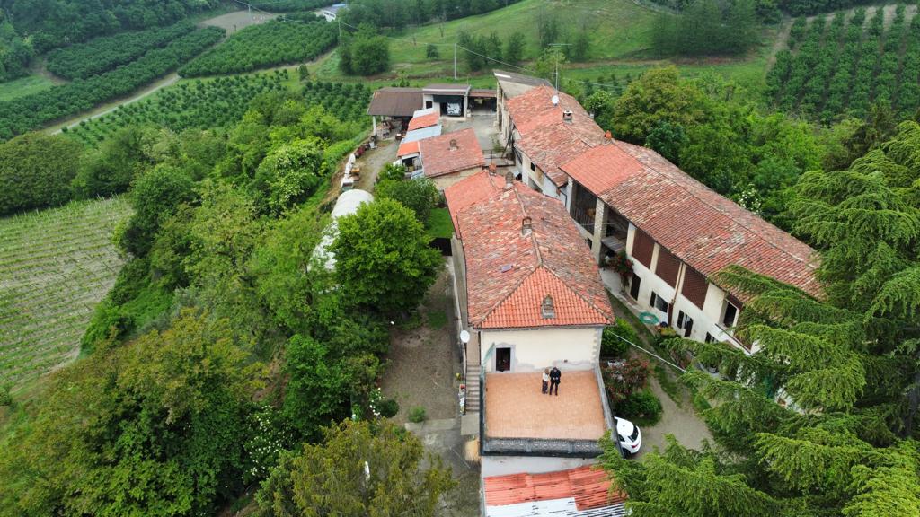 Azienda vitivinicola Guazzotti