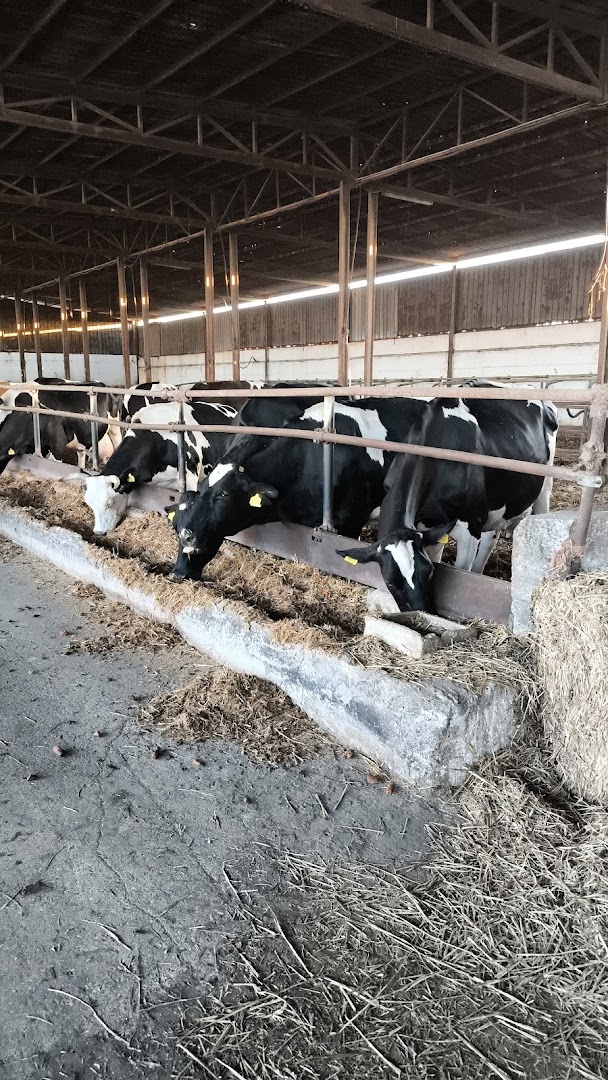Azienda zootecnica e casearia Cipro Luigi