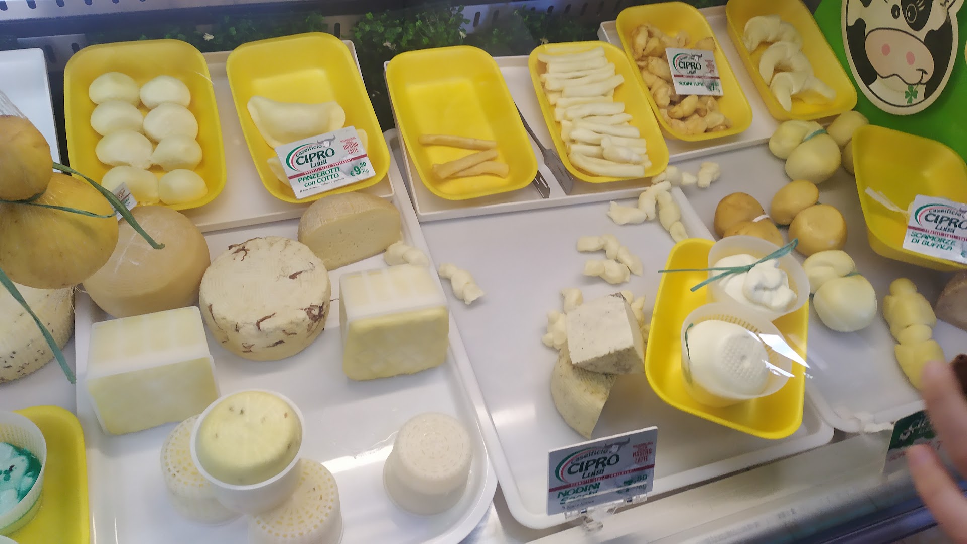 Azienda zootecnica e casearia Cipro Luigi