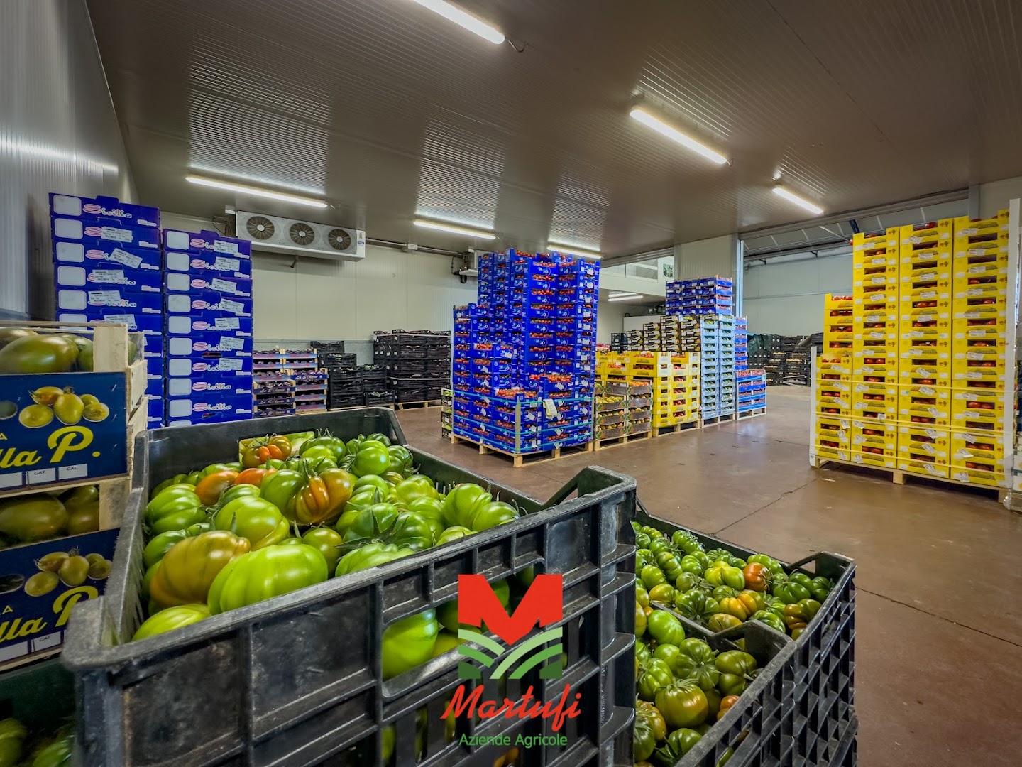 Aziende Agricole Martufi srl