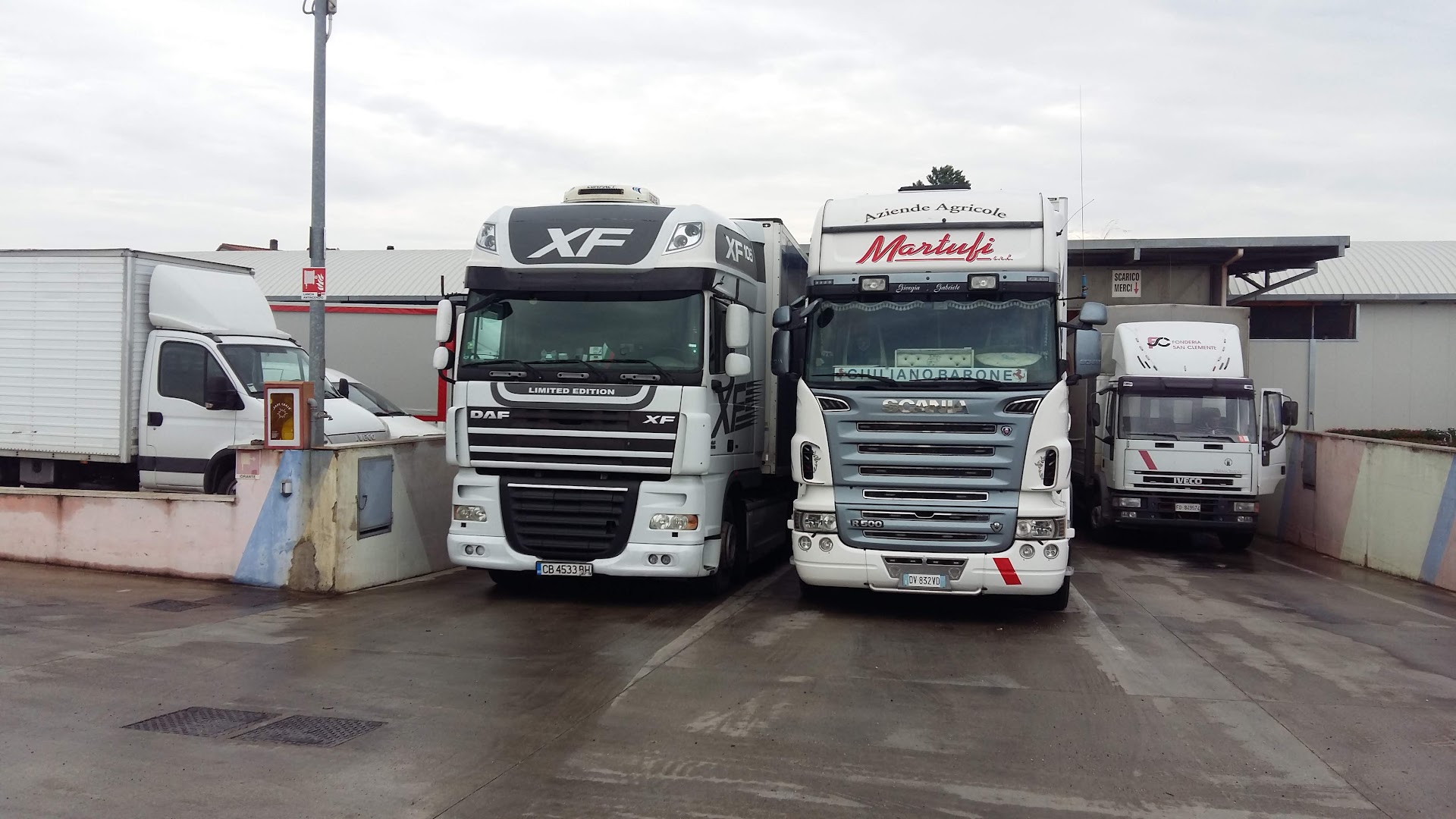 Aziende Agricole Martufi srl