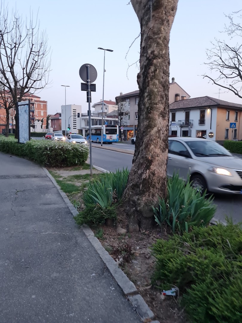 Azzanella