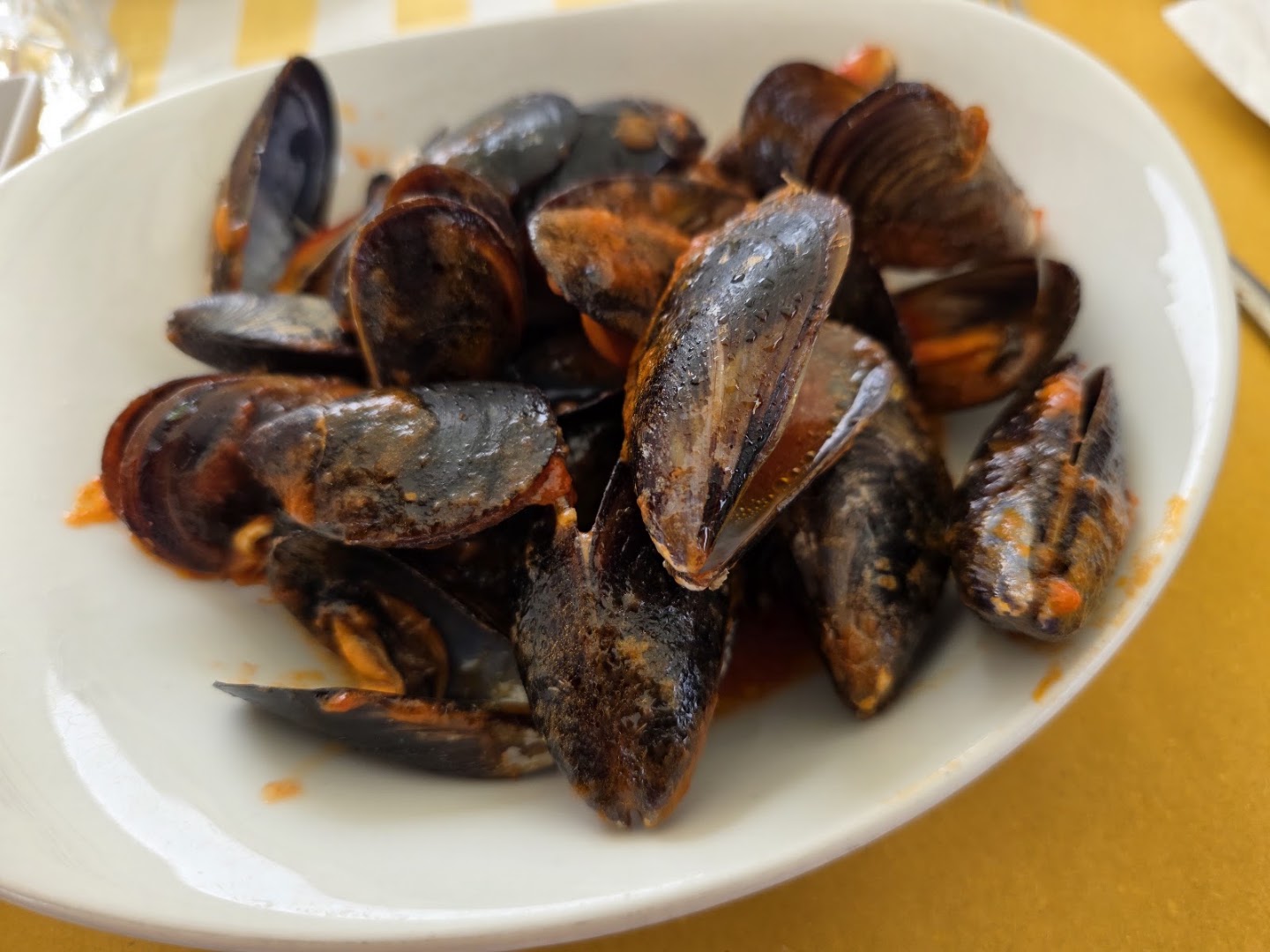 Bacareto da morgan
