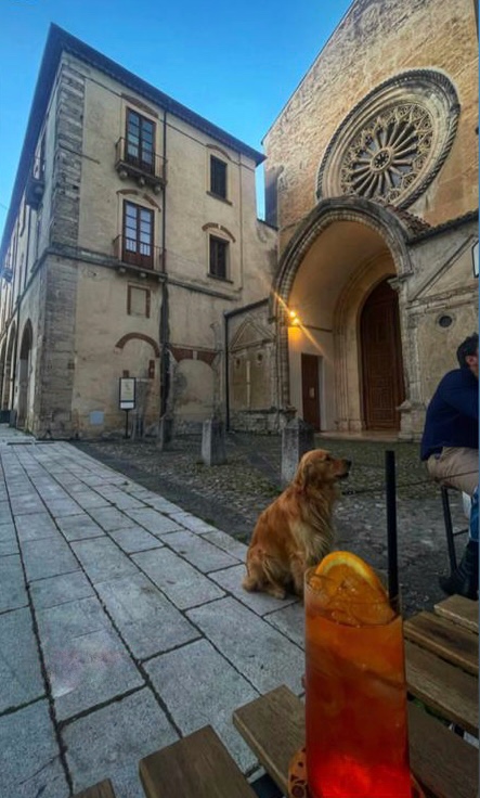 BADIA