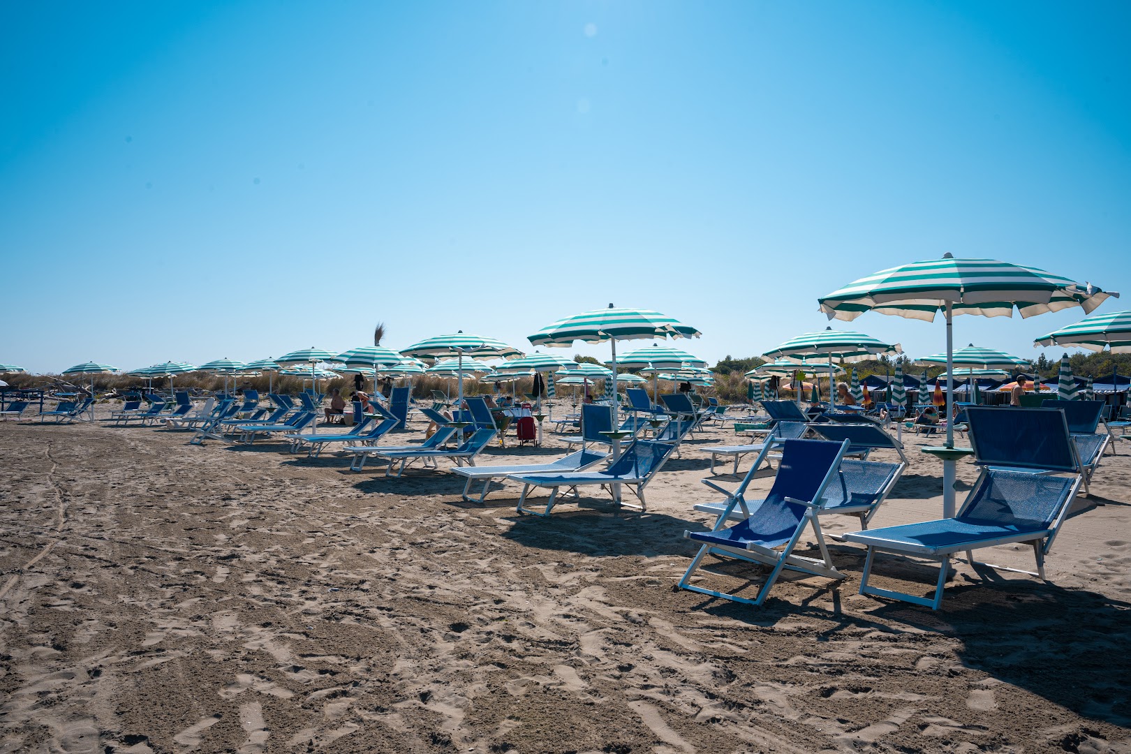 Bagni Alberoni Srl