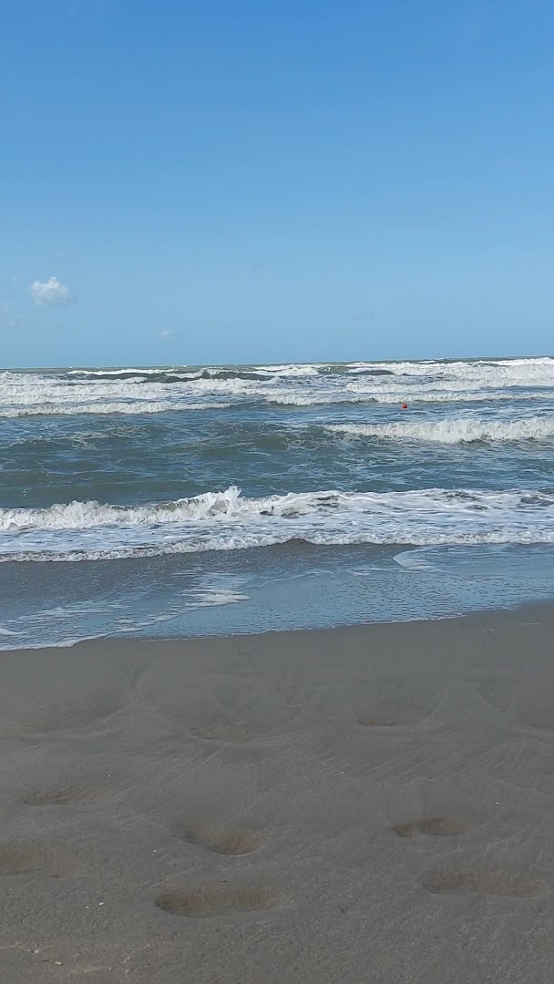 Bagni Genova, Viareggio