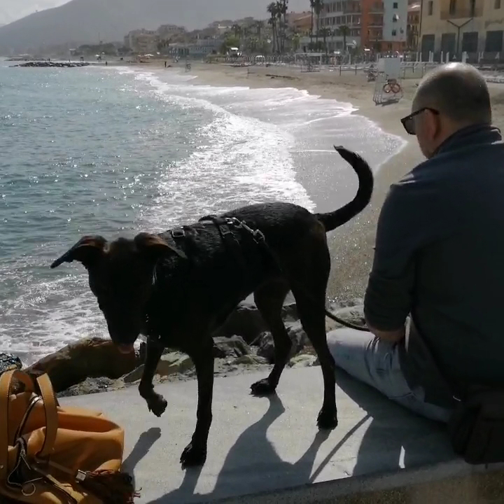 Bagni Lido Azzurro
