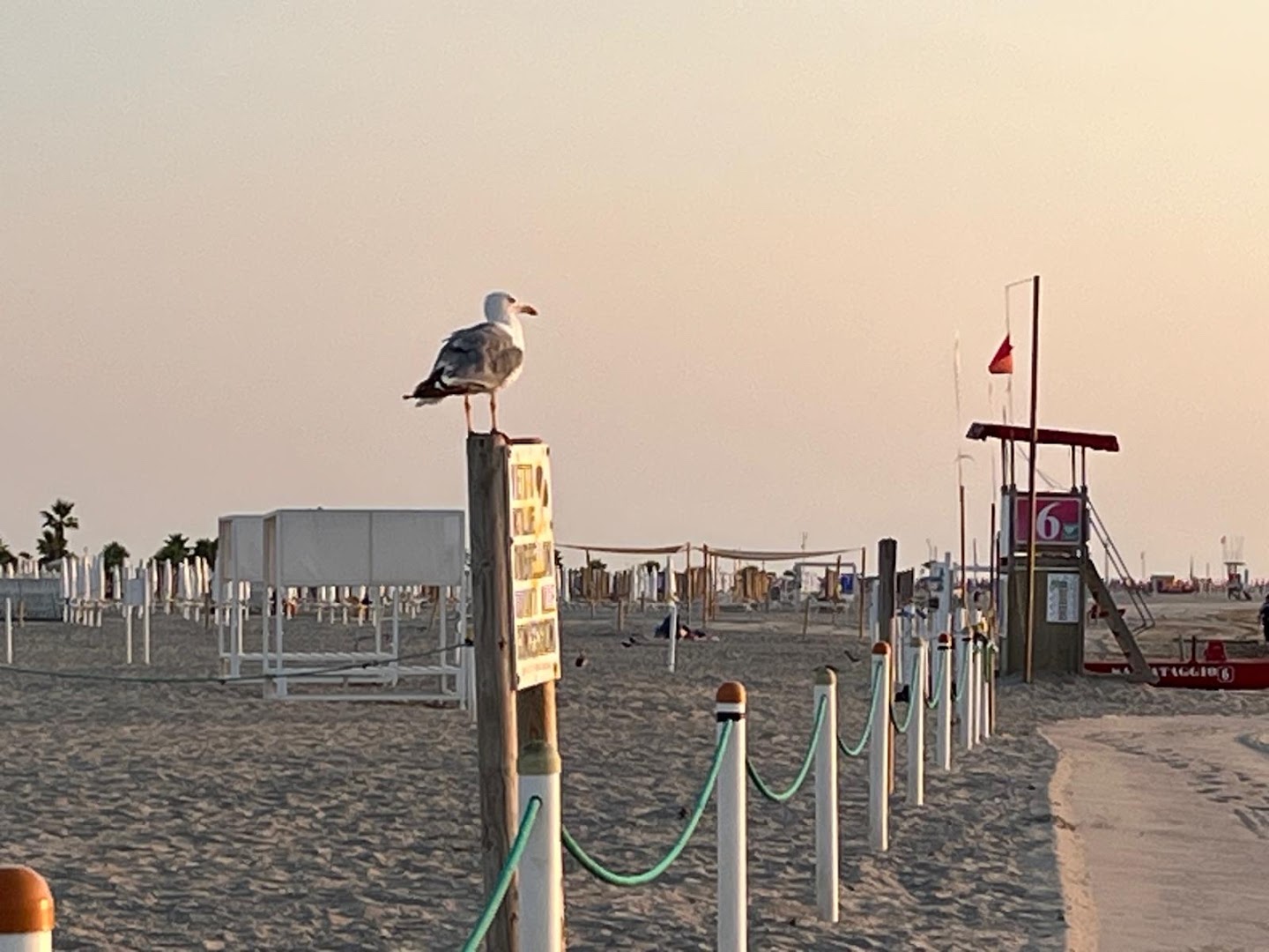 Bagni Minerva - Stabilimento Balneare
