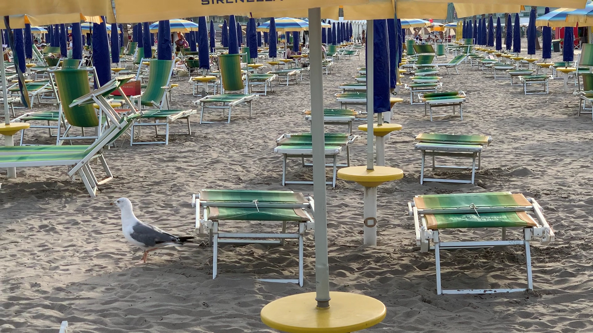Bagni Nuova Marina Sirenella