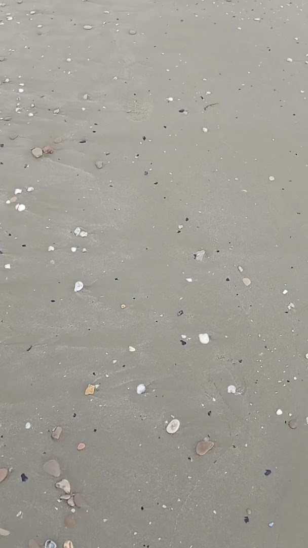 Bagni Salsedine, Cologna Spiaggia
