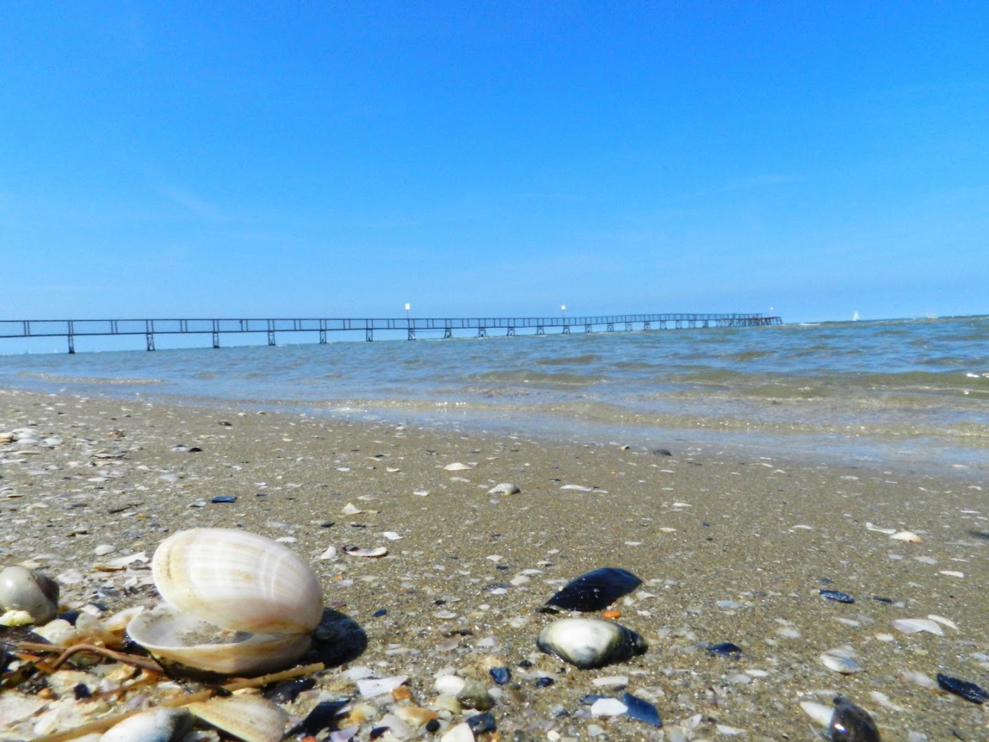 Bagno 73 Riviera Ondebeach, Rimini