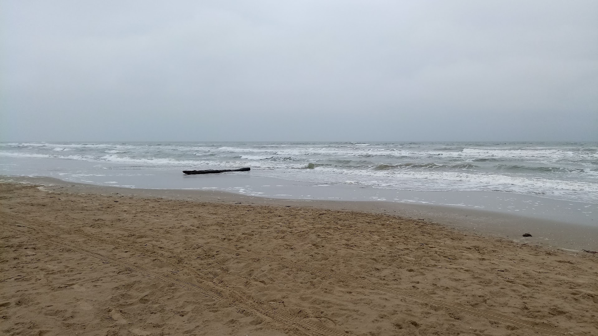 Bagno 81