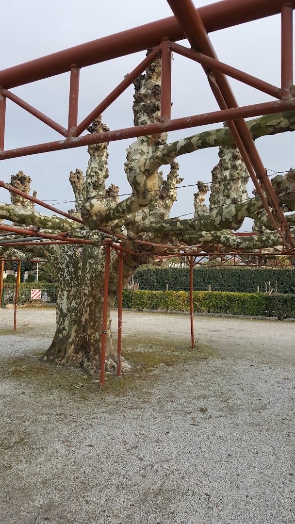 Bagno Apuana