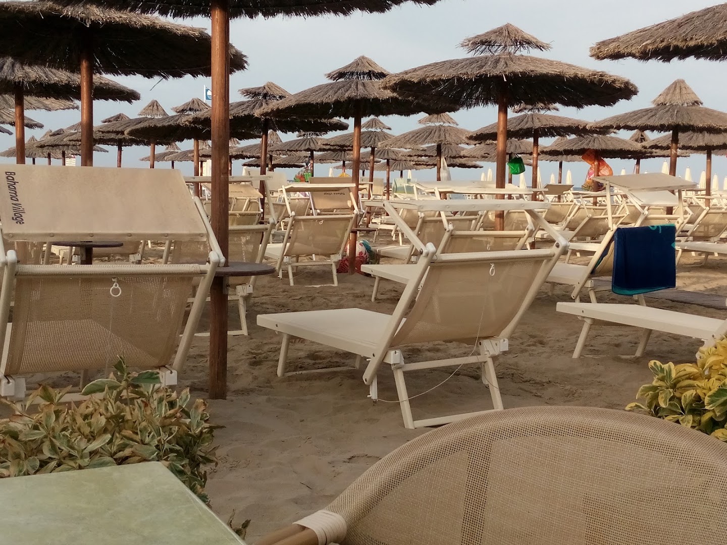Bagno Bahama