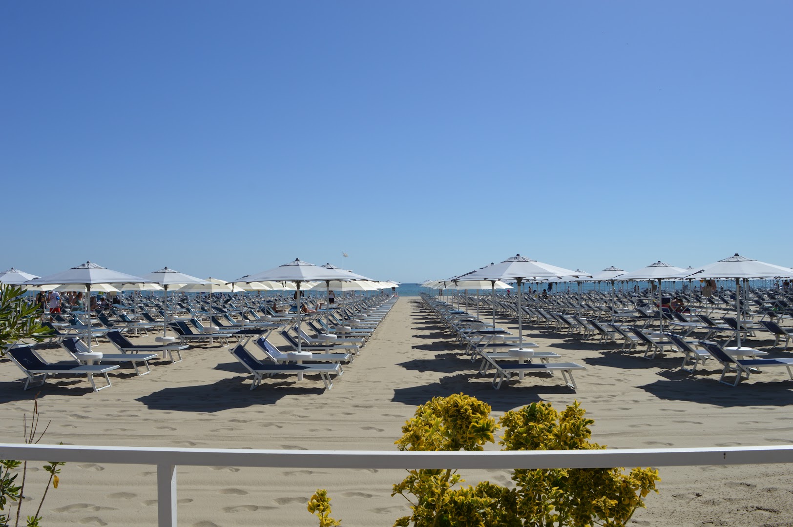 Bagno Delfino, Cervia