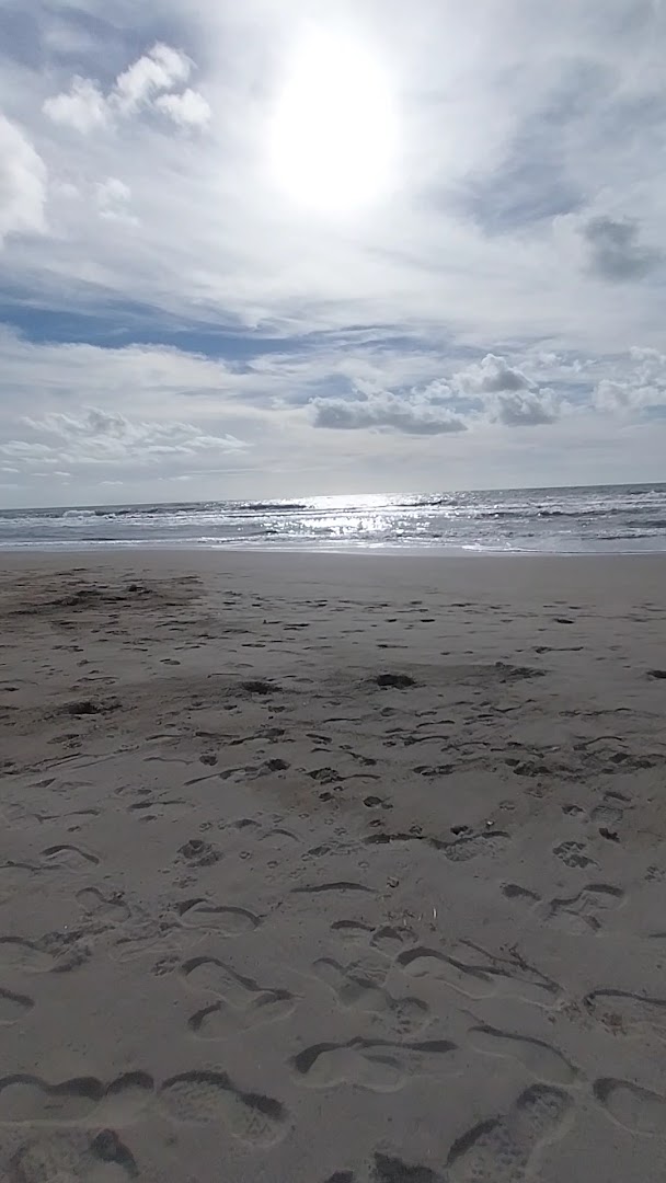 Bagno Fifì