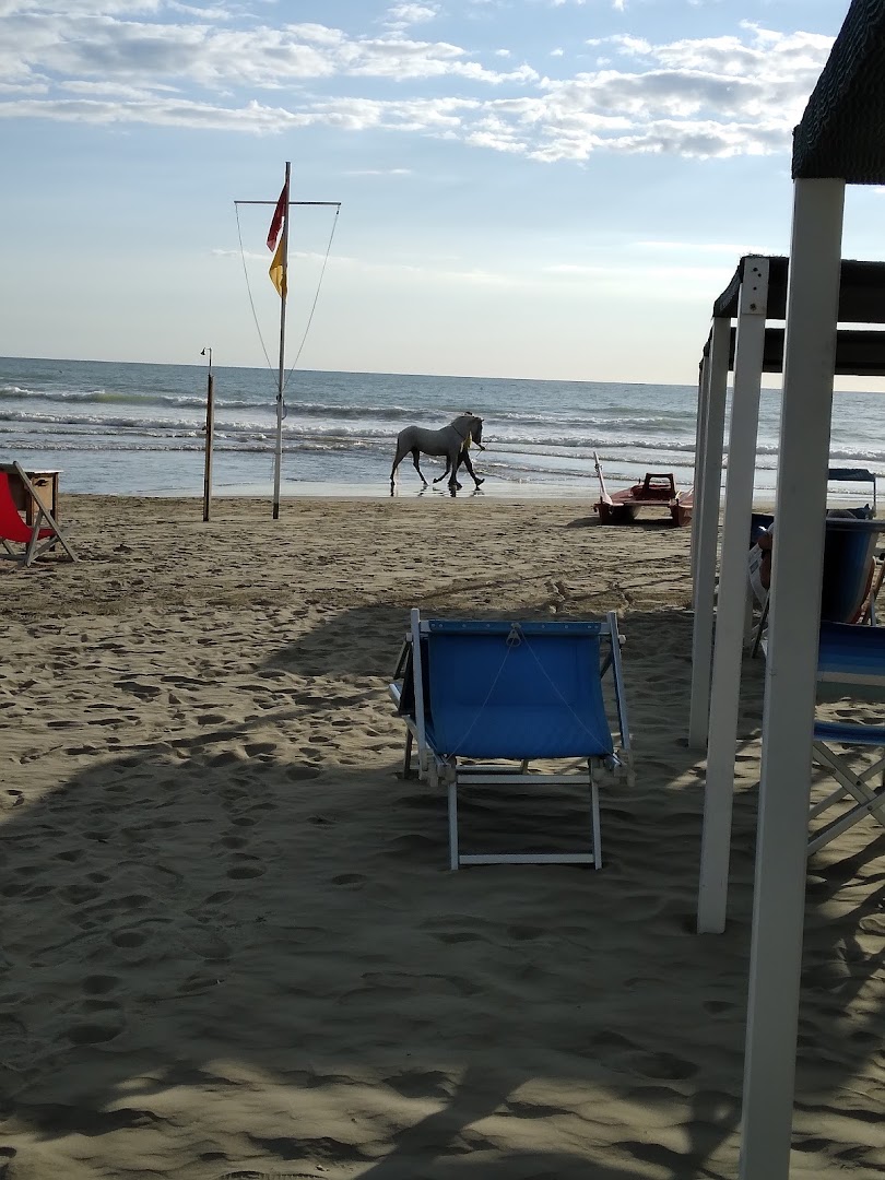 Bagno Genzianella, Pietrasanta
