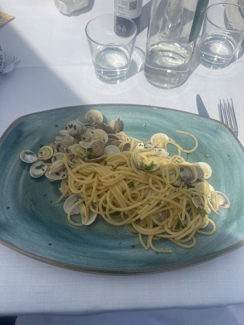 Bagno Ristorante il Cavallino