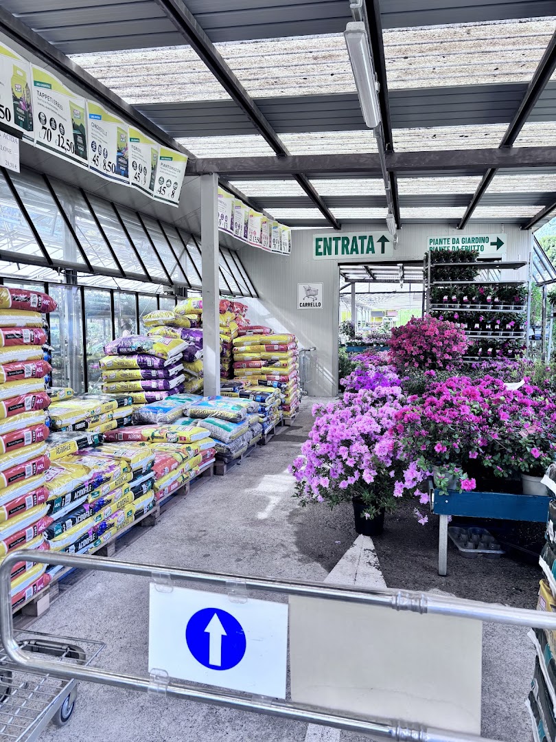 Bajardo Garden Verde Idea