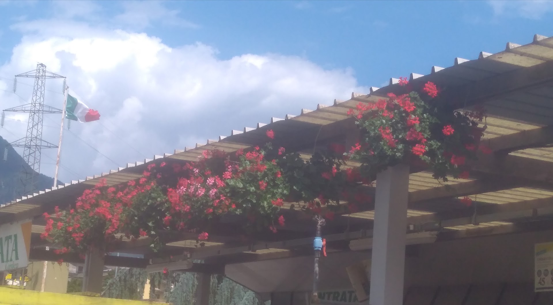 Bajardo Garden Verde Idea