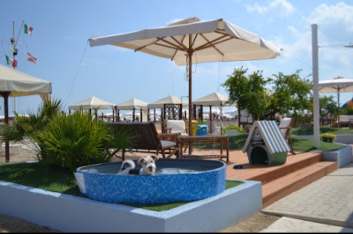 Banana Beach - Gabicce