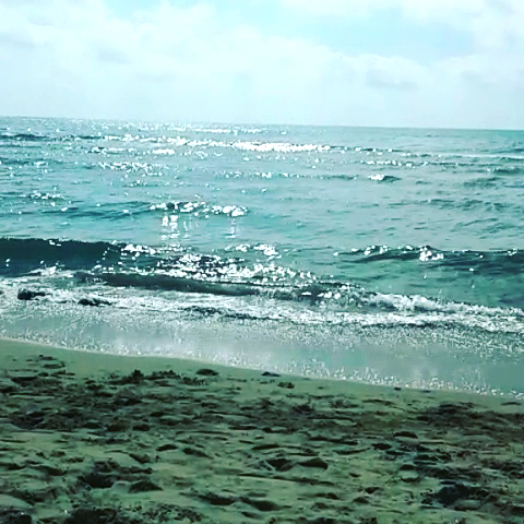 Bar Abruzzi