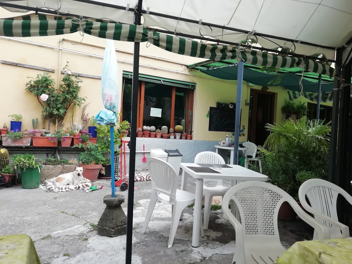 Bar Alleluja