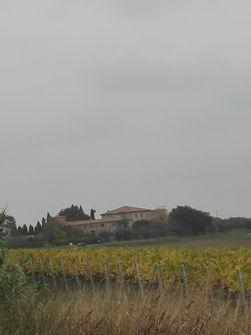 Bar Amati