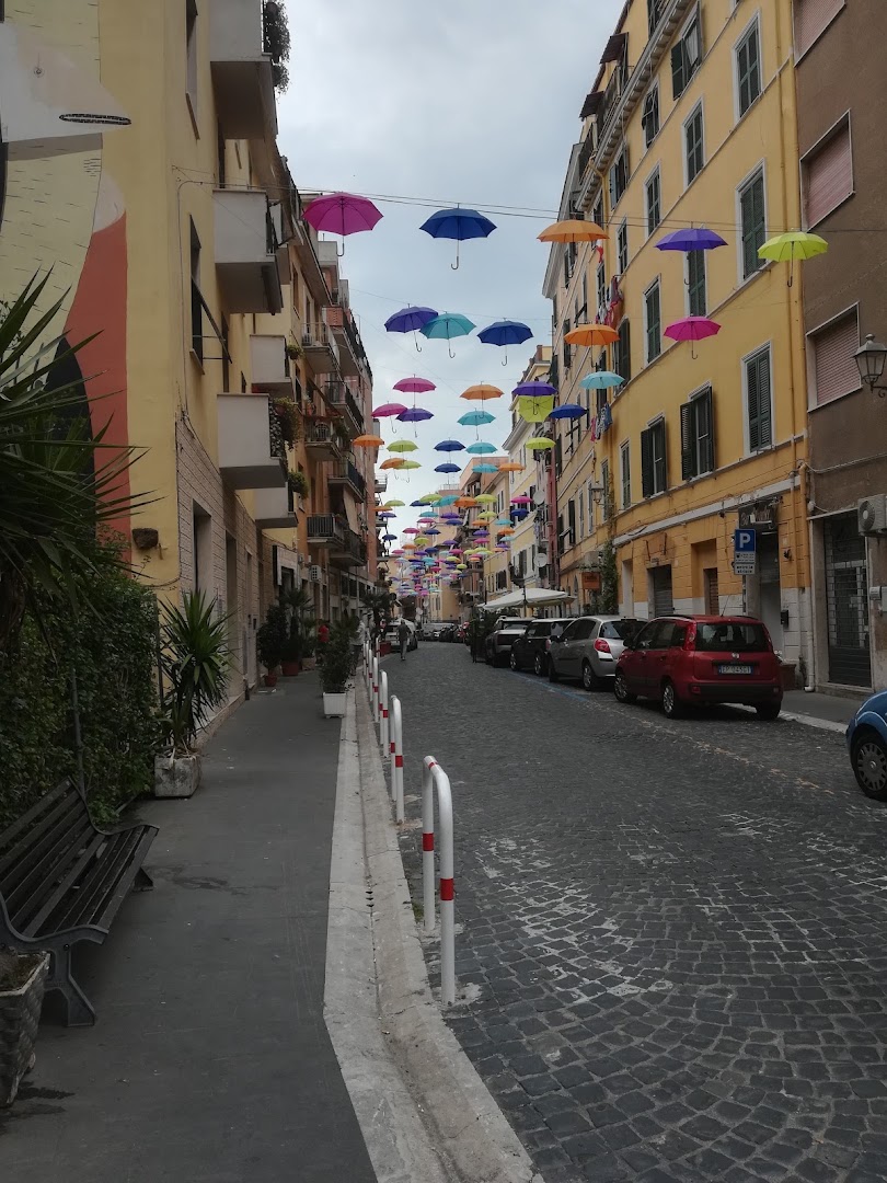 Bar Aurelia
