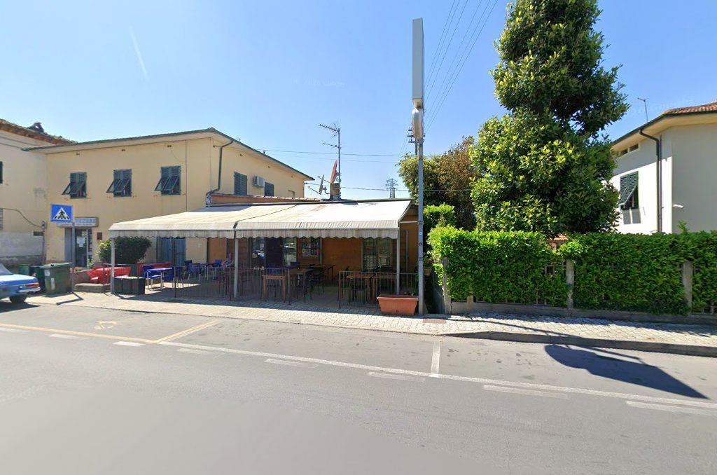 Bar Bedini