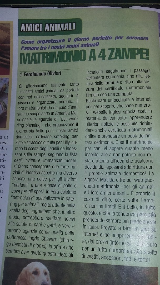 Bar Bellotto, Massa