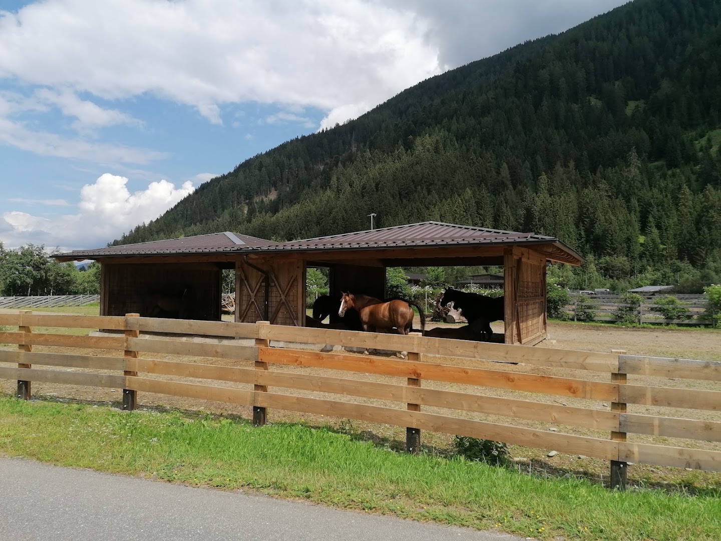 Bar Bergland