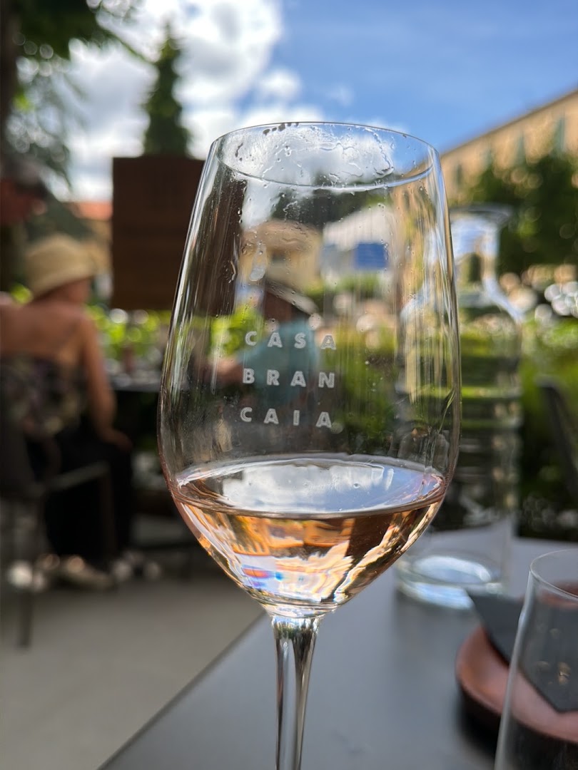 Bar Brancaia