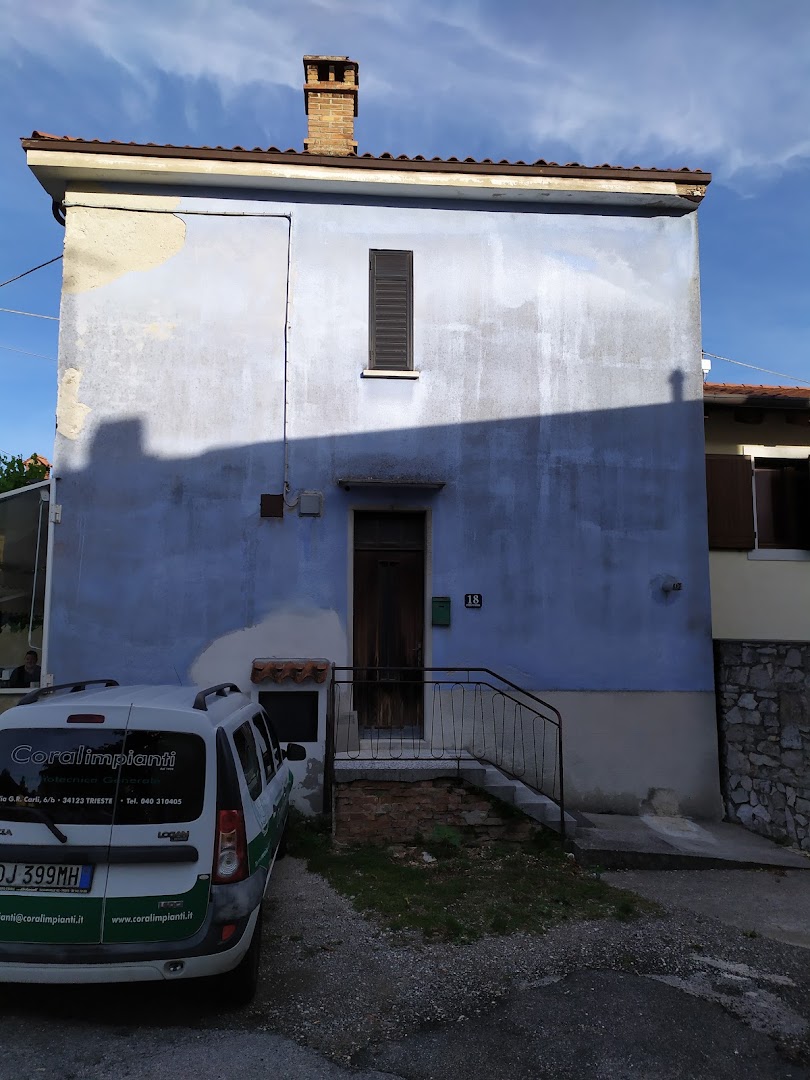 Bar Canarin