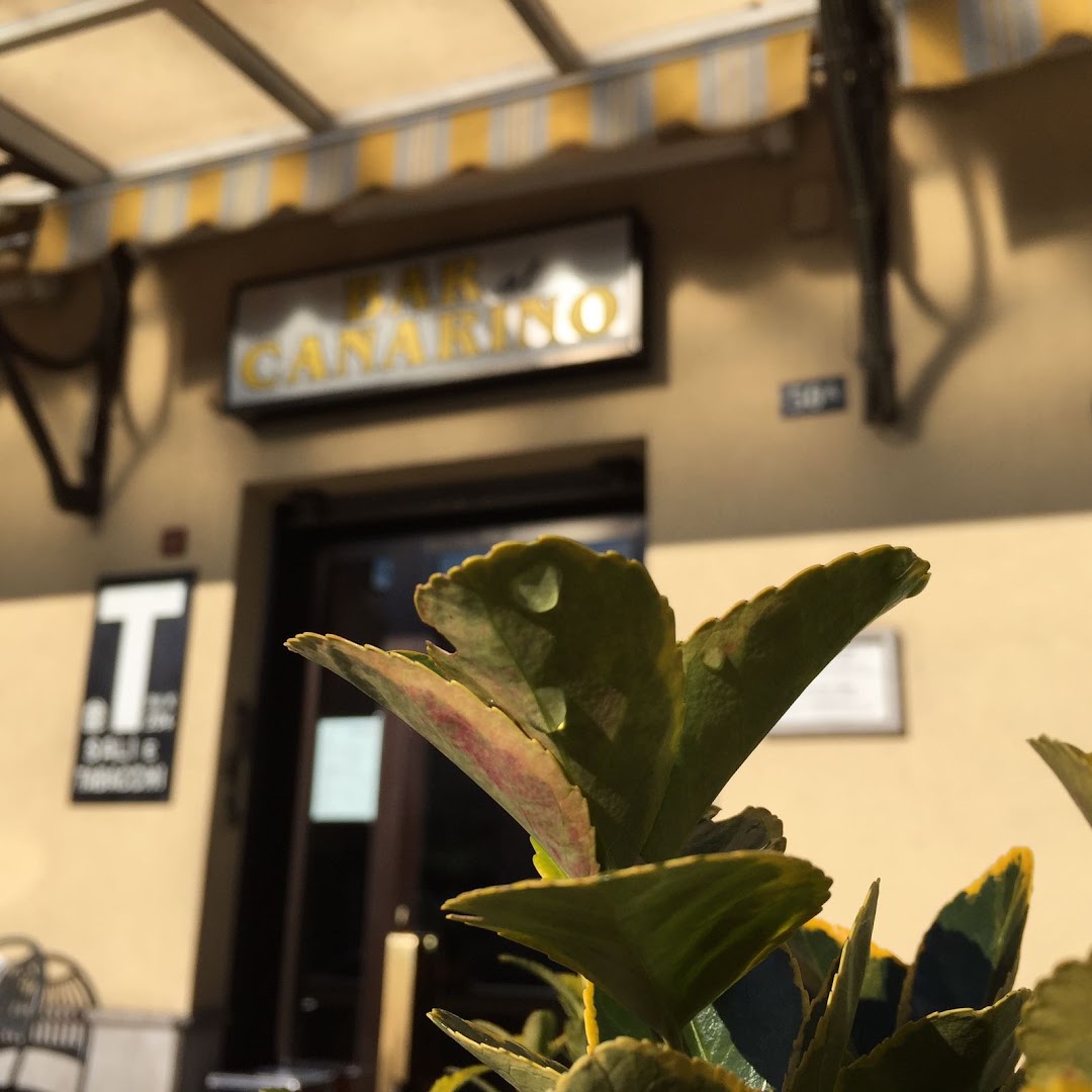 Bar Canarin