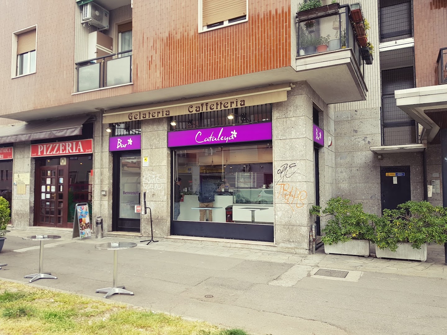 Bar Cataleya