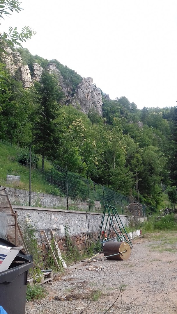 Bar Ceresè
