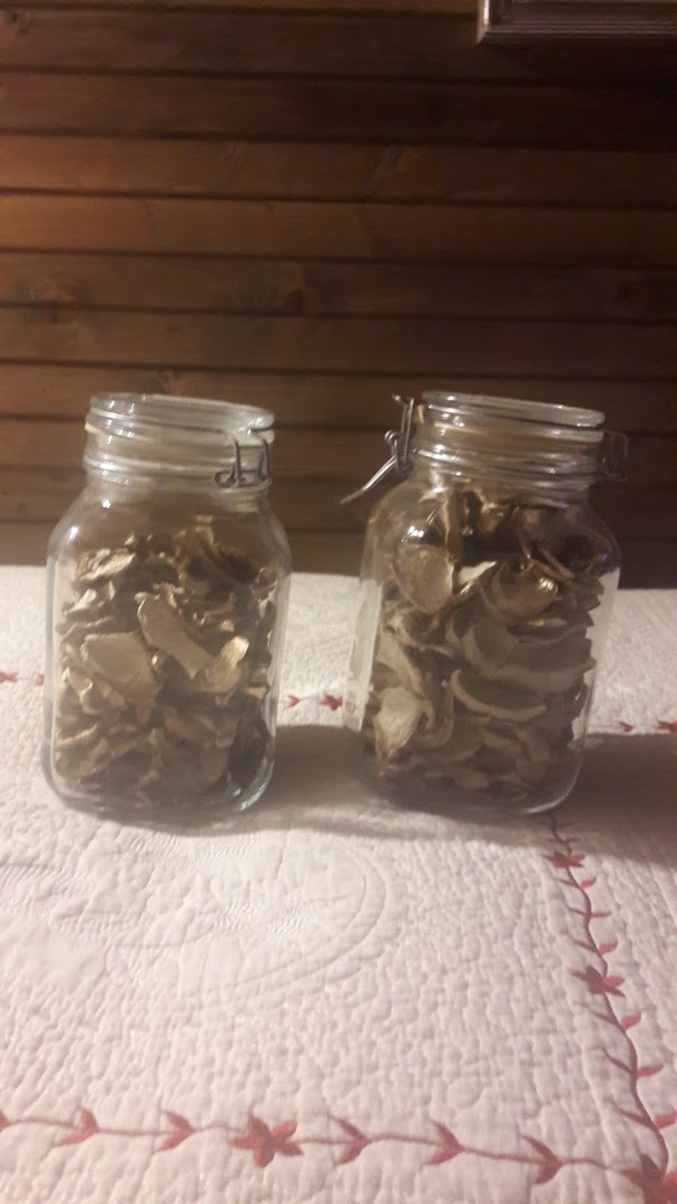 Bar Chioda Iole