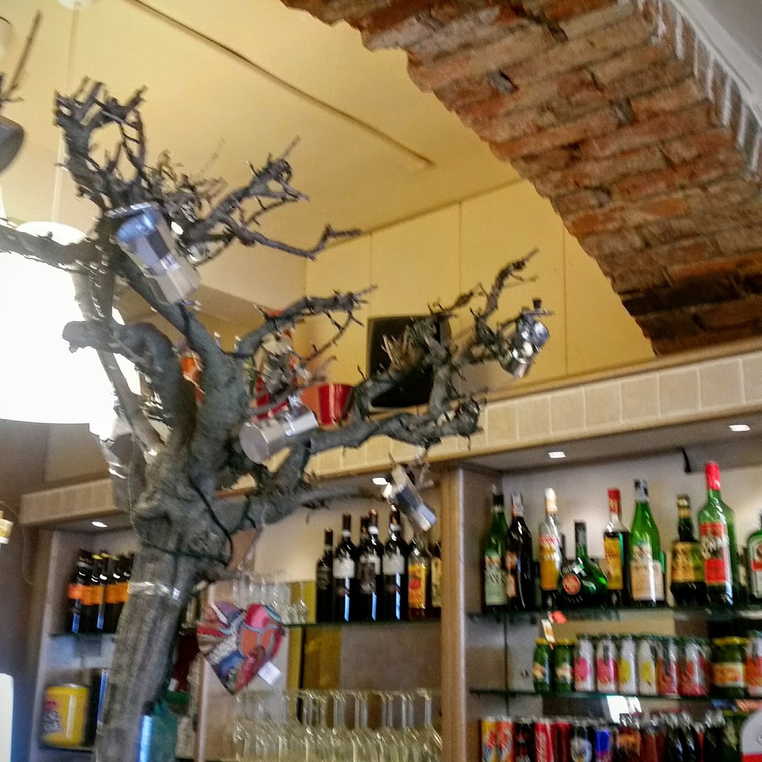 Bar Cino