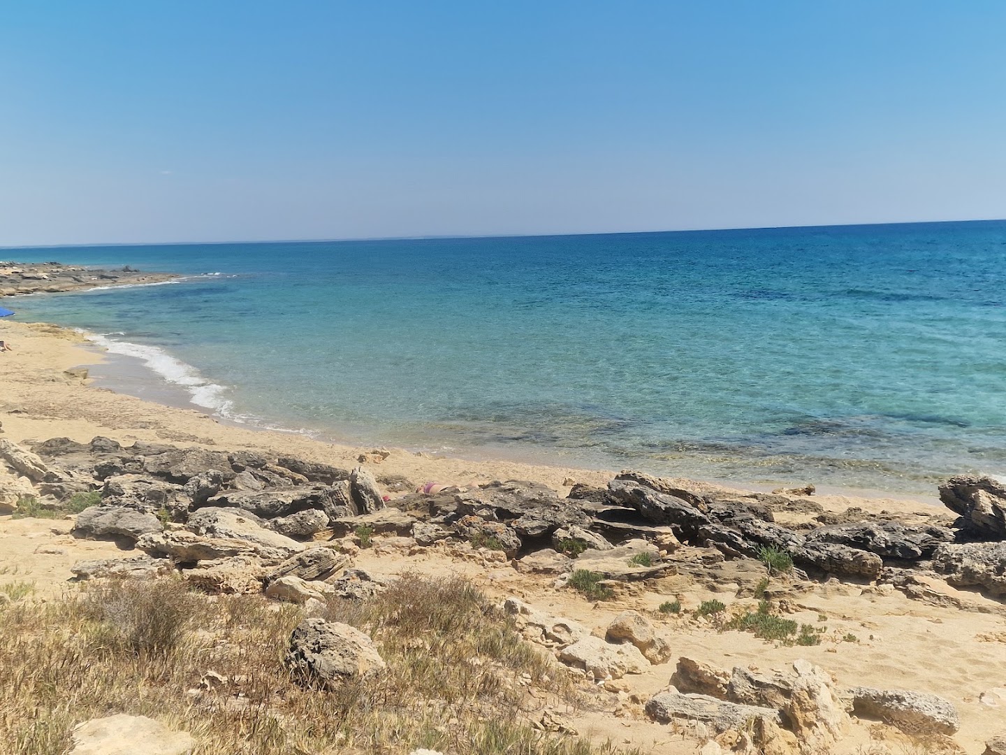 Bar Dali'