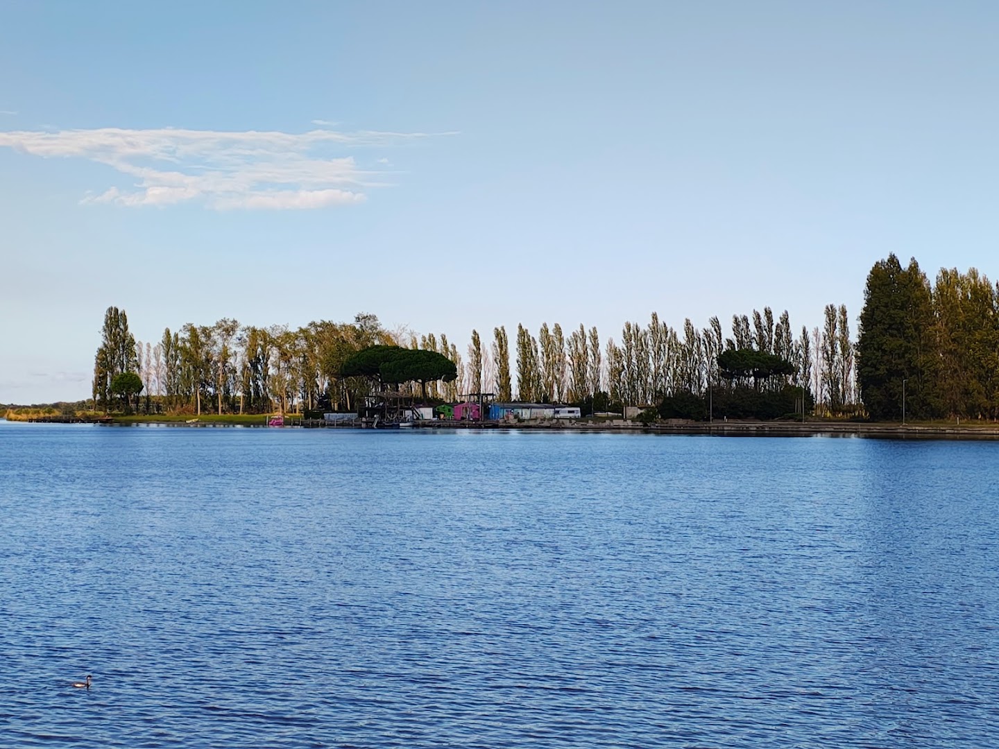 Bar del Lago