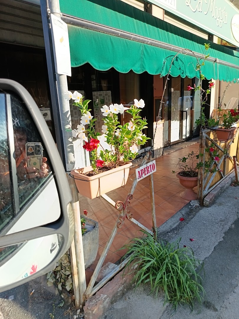 Bar e Caffè La Moggia