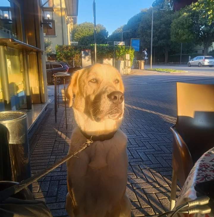Bar Eden