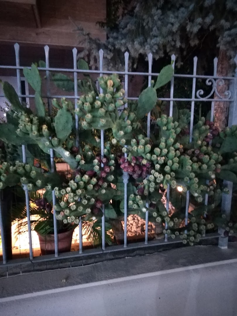 Bar Ever Green di Donati Andrea