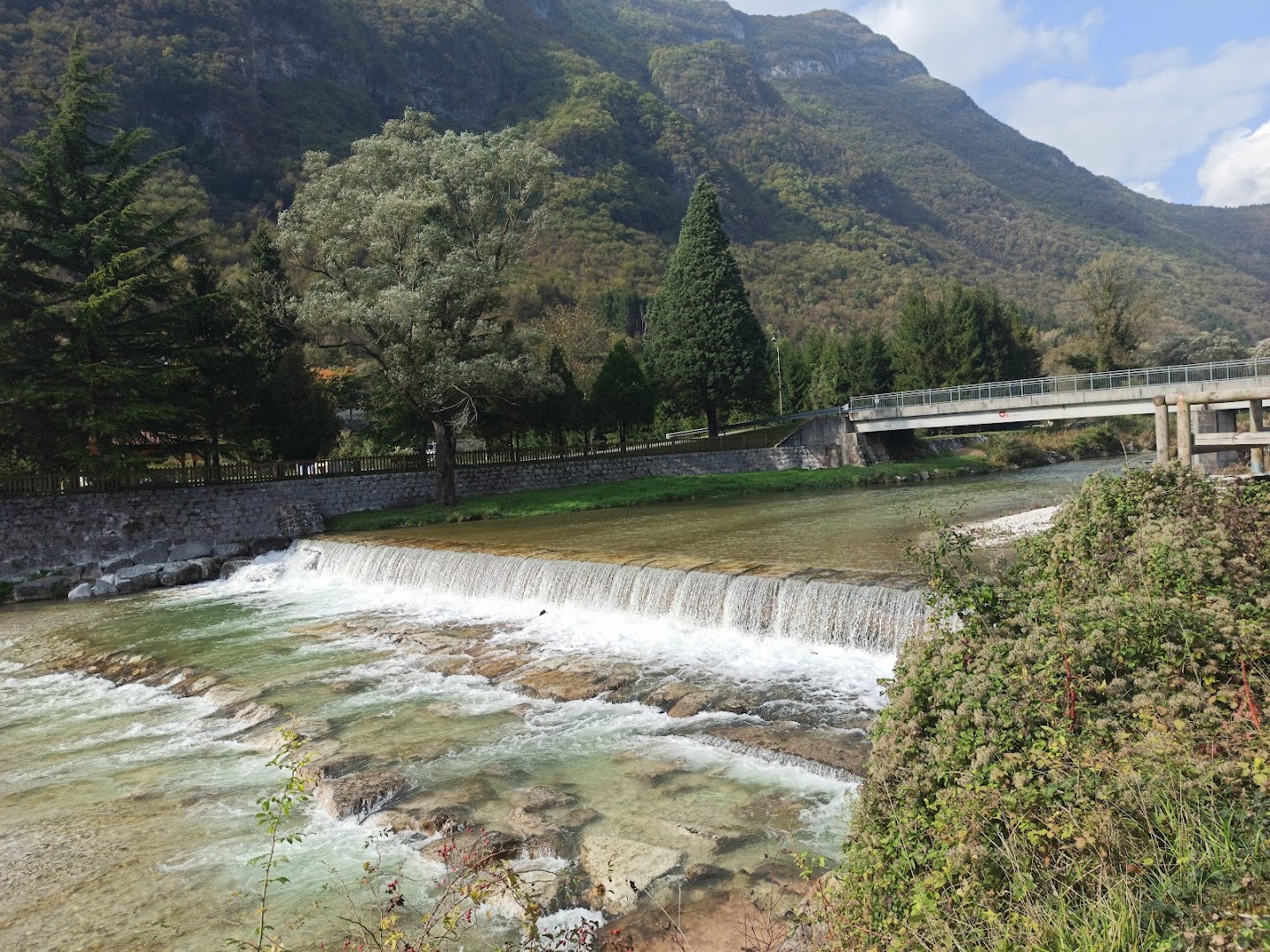 Bar Forni