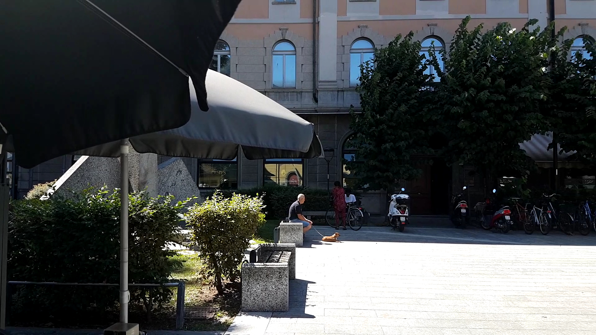Bar Gelateria Il Chiosco